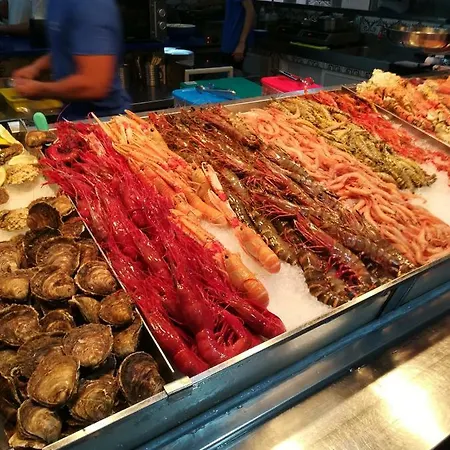 Tenerife 圣克鲁斯-德特内里费